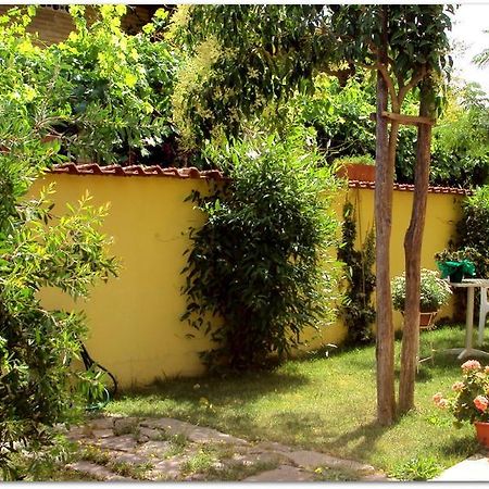 B&B Degli Amici Ciampino Exteriér fotografie